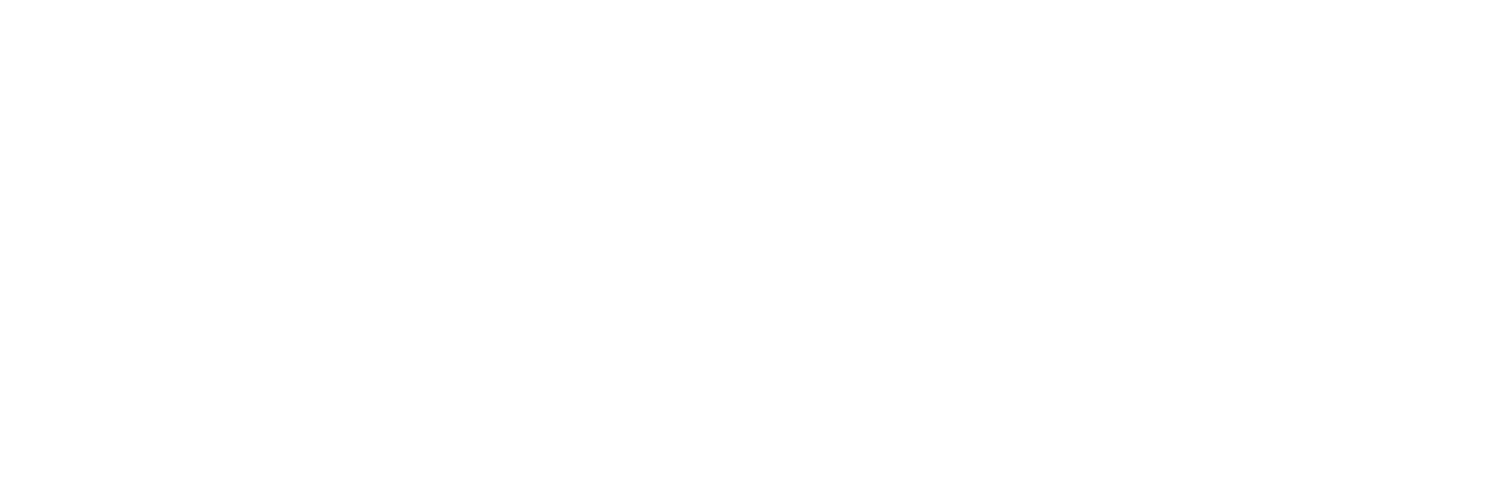 IronPulse